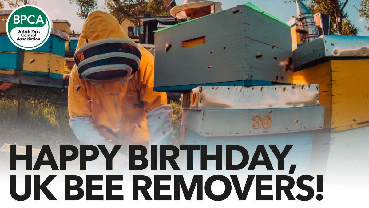 Removals c4 Removals c4